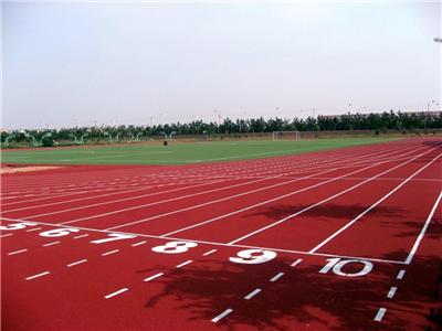 6363651321889619585713121.png 6363651321889619585713121.png